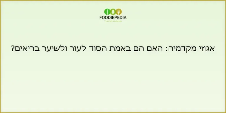 אגוזי מקדמיה: האם הם באמת הסוד לעור ולשיער בריאים?